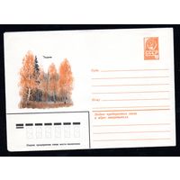 Художественный маркированный конверт СССР N 015149 (15.09.1981) Пейзаж осеннего леса с летящим самолетом
