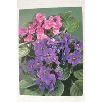 Цветы; подписана, Германия, п/п, марки.