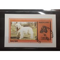 Марка СОБАКА. СПАНИЭЛЬ. ФАУНА. NAGALAND (Индия). Беззубцовка. Гашеная