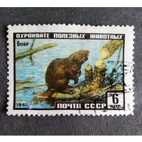 Марка СССР 1961 год Бобр