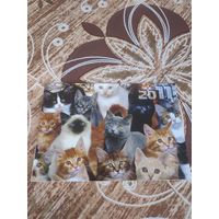 Календарь,коты,2011