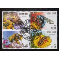 Сьерра Леоне. 2015г. Пчёлы.