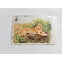 ОАЭ 1972  львы