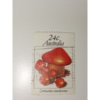 Австралия год 1981.  с изображением гриба Cortinarius cinnabarinus (паутинник киноварно-красный).