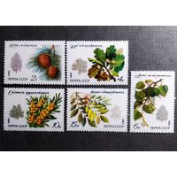 Марки СССР 1980 год Охраняемые породы деревьв и кустарников
