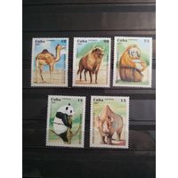 Куба 1997 г. Фауна.