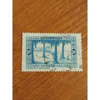 1936 Французская колония Алжир флора дорогая концовка (2-15)