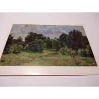 Открытка И. И. Шишкин. Опушка лиственного леса.