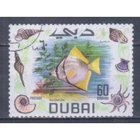 [634] Дубай 1969. Фауна.Рыбы. Гашеная марка.