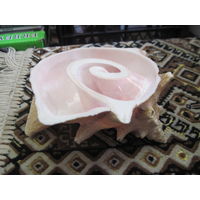 Пепельница(?) из ракушки с Карибов.