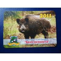 Календарик 2011 г.  Белгосохота.  Кабан.
