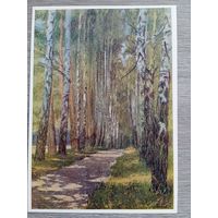 1956. Минаев. Аллея в Поленове