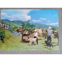 Этнография. Коста-Рика, типичный вид