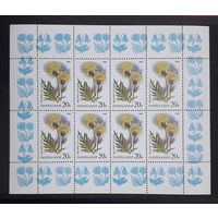 СССР 1986г. Малый лист. Василёк **. Сол.5698.