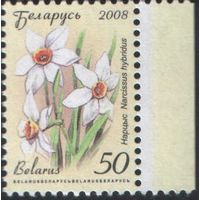 Марка Беларуси. Старт с копейки! Нарцыс