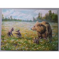 Медведи. Юлия Неприятель. Авторская открытка, глянец