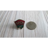 Значек Брсм закрутка и флажок Беларуси ,Цена за все