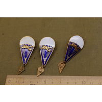 Значки парашютные, одним лотом. Распродажа коллекции вещей. С РУБЛЯ! АУКЦИОН!