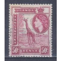 [1710] Британские колонии. Кения,Уганда и Танганьика 1954. Елизавета II.Фауна.Жираф.50с. Гашеная марка.