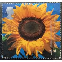 Великобритания 2000. Подсолнух