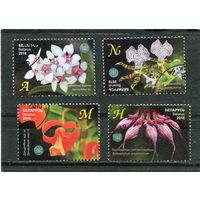 Беларусь 2016.. Цветы. Орхидеи