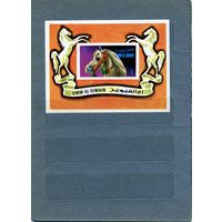 УМ АЛЬ КВАЙН, 1972, спорт, блок  чистая