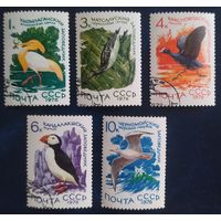СССР 1976 заповедники, птицы, клей.