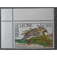 1990  Большой медоуказчик Сьерра -Леоне