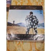 Виниловая пластинка Pink Floyd