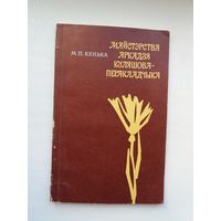 Міхась Кенька - Майстэрства Аркадзя Куляшова-перакладчыка