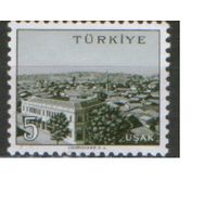 Марка из серии 1960г. Турция "Города и провинции. Ушак" MNH