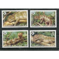 Соломоновы острова. Фауна. Ящерица. Гигантский цепко-хвостовый сцинк