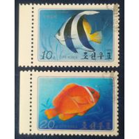 КНДР 1986 рыбы .