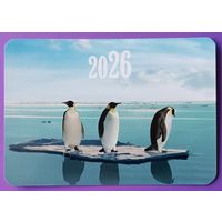 Пингвины. Календарик, глянец, 2026.ТРАСКО