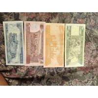 Эфиопский быр