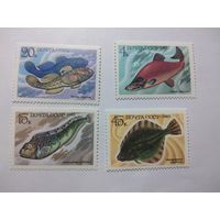 СССР 1983 ПРОМЫСЛОВЫЕ РЫБЫ