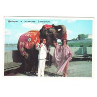 Календарик Цирк 1985