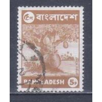 [905] Бангладеш 1973. Флора.Деревья.Плоды.Джекфрут. Гашеная марка.