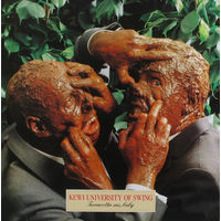 Kewi University Of Swing - Terracotta Me,Baby 1983, LP
