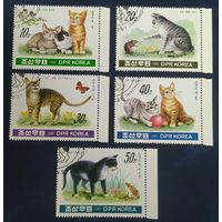 КНДР 1991 коты.