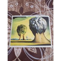 Календарик,Дали