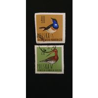 Польша птицы 2шт