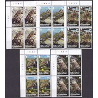 2020 Гибралтар 1975VB-1979VB Птицы - Совы 68,00 евро