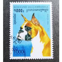 Марка Камбоджа 1996 год Собака
