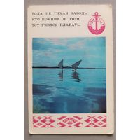 ОСВОД. Календарик, 1981