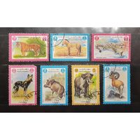 Афганистан. 1984 год. Фауна (568)