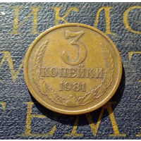 3 копейки 1981 СССР #13