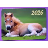 Лошадь. Календарик, глянец, 2026. Траско