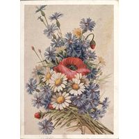 Подписанная открытка СССР. Домащенко. 1961