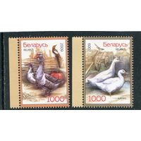Беларусь 2009. Домашние птицы